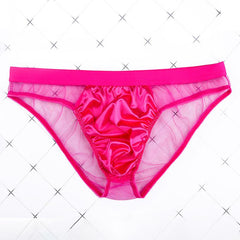Men's Sexy Low Rise Mesh Bikini Briefs