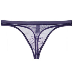 Men's Sexy Silk Mesh Bikini Thin Thong
