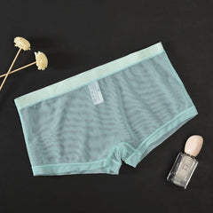 Men's Mesh Transparent Sexy Boxer Briefs