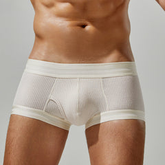 Men's Sexy Simple Comfortable Breathable Boxer Briefs