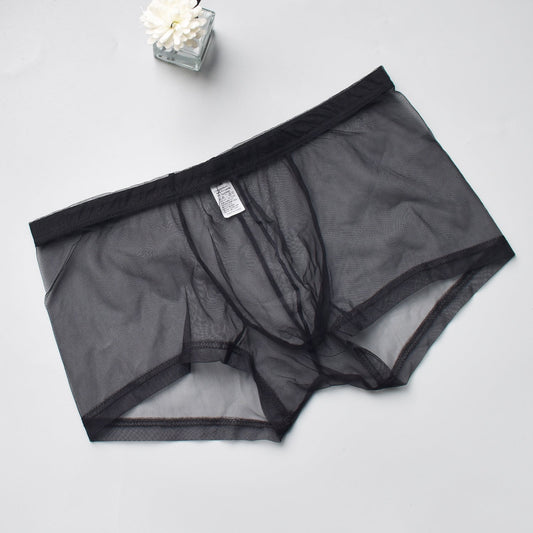 Men's Mesh See-through Boxer Briefs