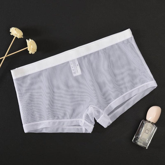 Men's Mesh Transparent Sexy Boxer Briefs