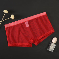 Men's Mesh Transparent Sexy Boxer Briefs