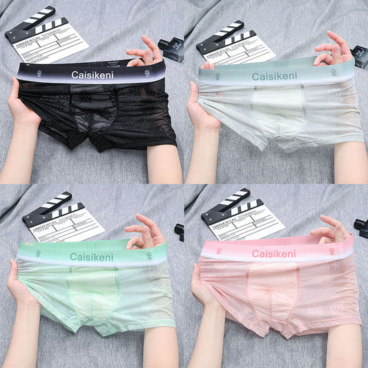 Men's Lace Sexy Mesh Transparent Ice Silk Boxer Briefs