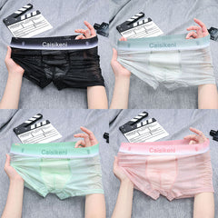 Men's Lace Sexy Mesh Transparent Ice Silk Boxer Briefs