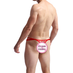 Men's Low Waist Sexy Butterfly Hollow Lace Sheer Thong