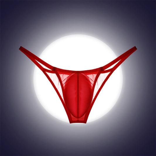 Men's Pouch Bag Mesh See-Through Ice Silk Underpants