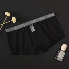 Men's Mesh Transparent Sexy Boxer Briefs
