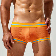 Men's Sexy Simple Comfortable Breathable Boxer Briefs