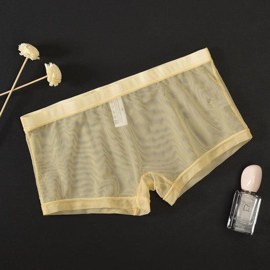 Men's Mesh Transparent Sexy Boxer Briefs