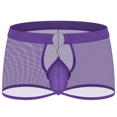 Men's New Sexy Mesh Transparent Boxer Briefs