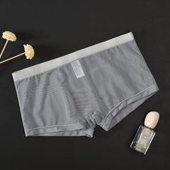 Men's Mesh Transparent Sexy Boxer Briefs