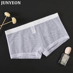 Men's Mesh Transparent Sexy Boxer Briefs