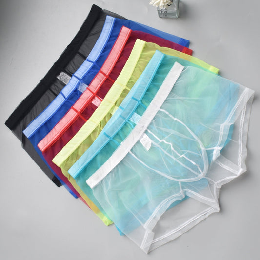 Men's Mesh See-through Boxer Briefs