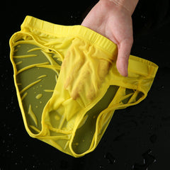 Plus Size Ice Silk Panties