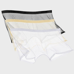 Ice Silk Sexy Mesh Full Transparent Boxer Shorts - Men's Fashion
